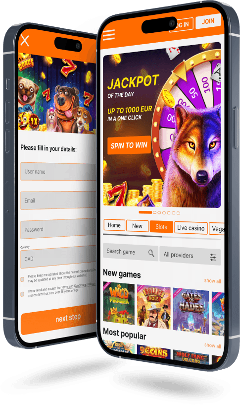 Mobile Application